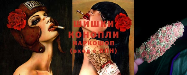 прущие грибы Карталы