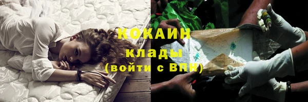 прущие грибы Карталы