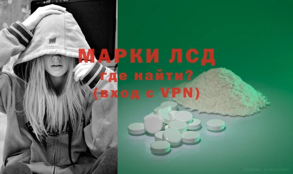 прущие грибы Карталы