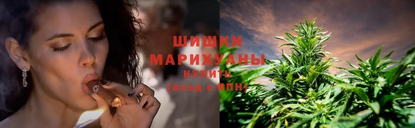 прущие грибы Карталы