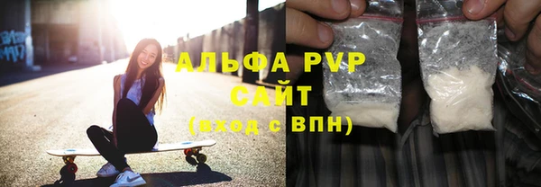 спиды Каменногорск