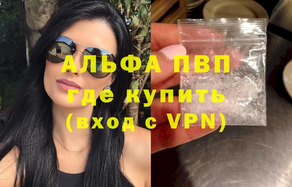 прущие грибы Карталы