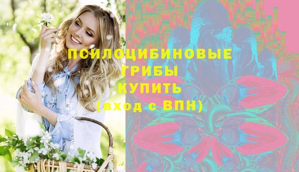 прущие грибы Карталы