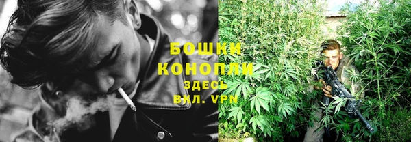 мет Карпинск