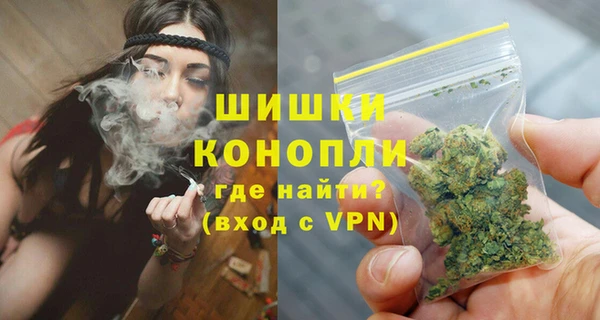 прущие грибы Карталы